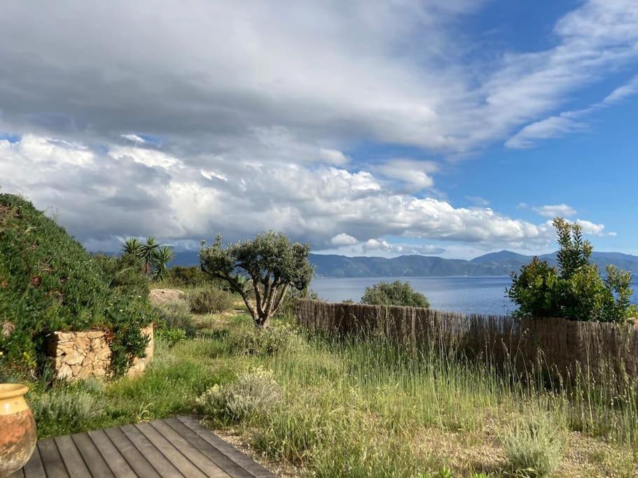 Casa Turrigiani Villa Sagone  Eksteriør billede
