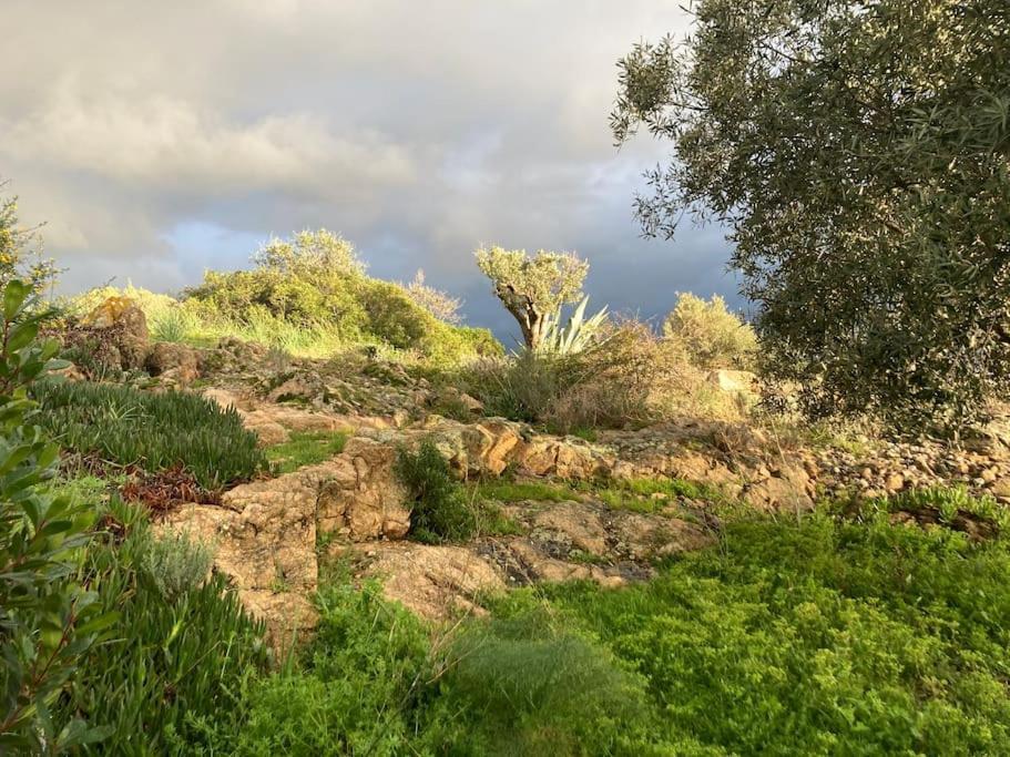 Casa Turrigiani Villa Sagone  Eksteriør billede