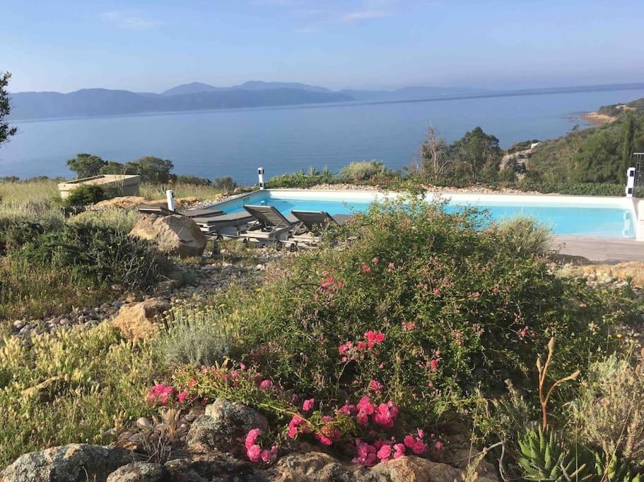 Casa Turrigiani Villa Sagone  Eksteriør billede