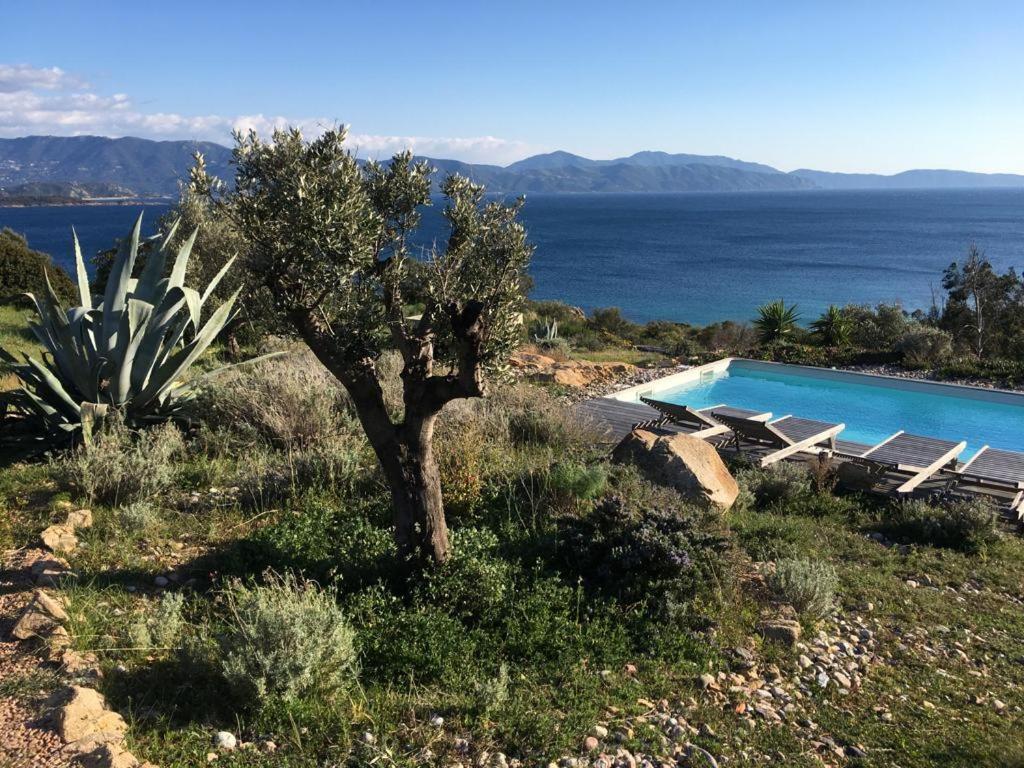 Casa Turrigiani Villa Sagone  Eksteriør billede