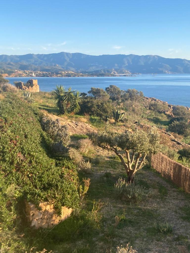 Casa Turrigiani Villa Sagone  Eksteriør billede