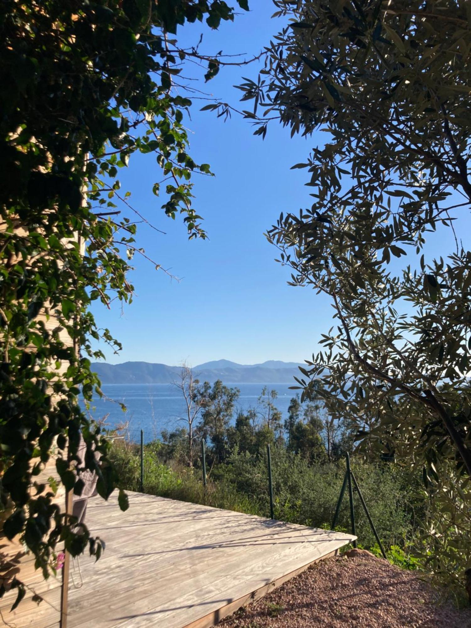 Casa Turrigiani Villa Sagone  Eksteriør billede