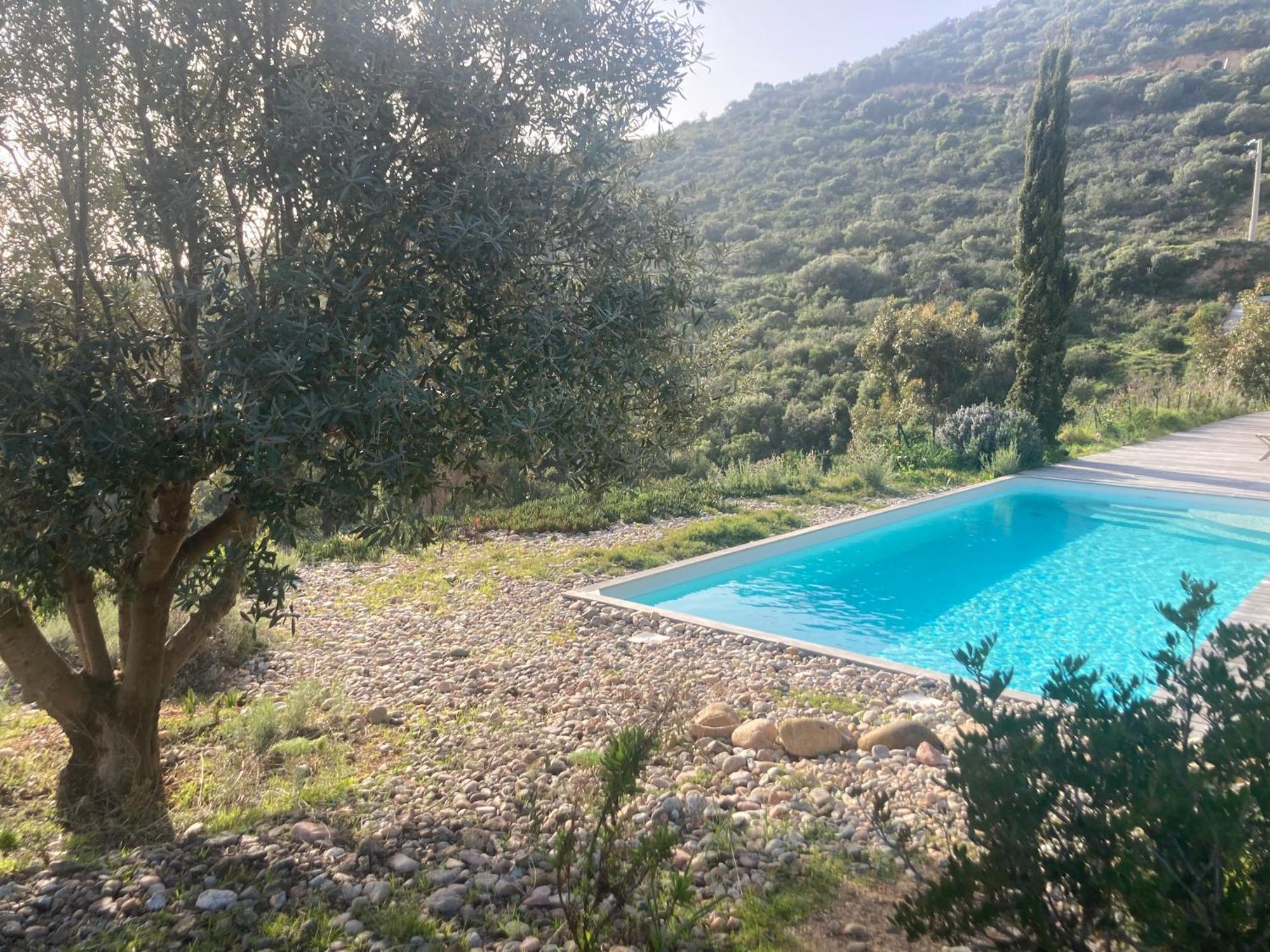 Casa Turrigiani Villa Sagone  Eksteriør billede